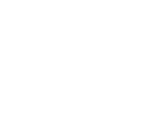 Nexum Direction